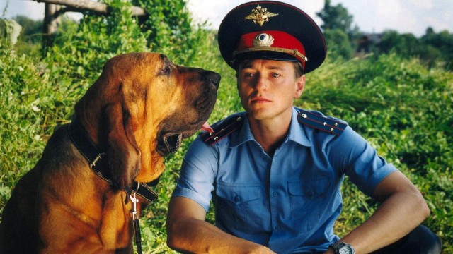 Собаки в кино