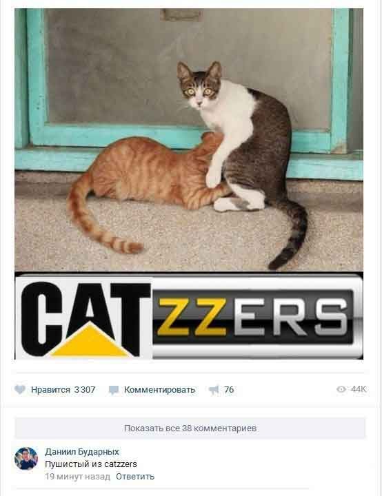 Чёрно-пошлая деградация