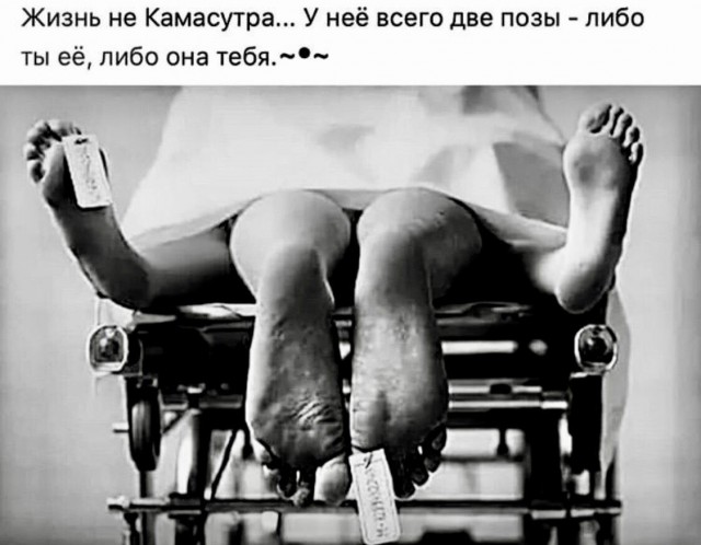 Юмор в картинках и без 29.08.2022