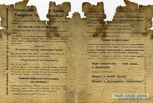 Французы пришли в ярость после требования Зеленского к Израилю