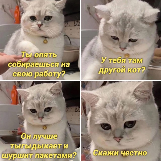 Немного картинок для настроения - 105