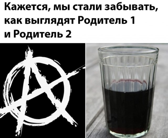 Весёлый полтишок 21.11.22