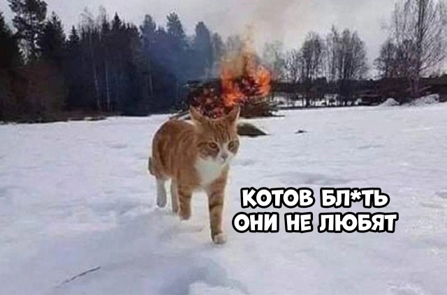 Немного картинок и прочей хреноты Vol. 20