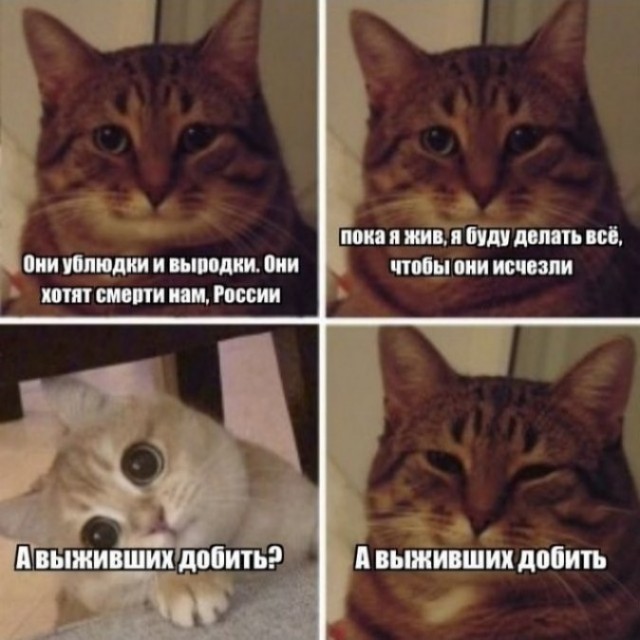 Стрелков унизил Медведева