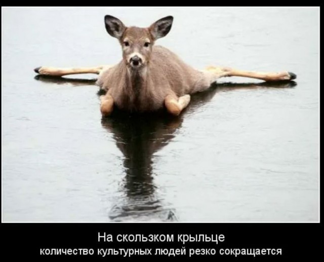Победная поступь идиотизма по планете – том 7