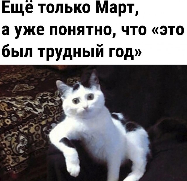 Нуштош 03.03.23