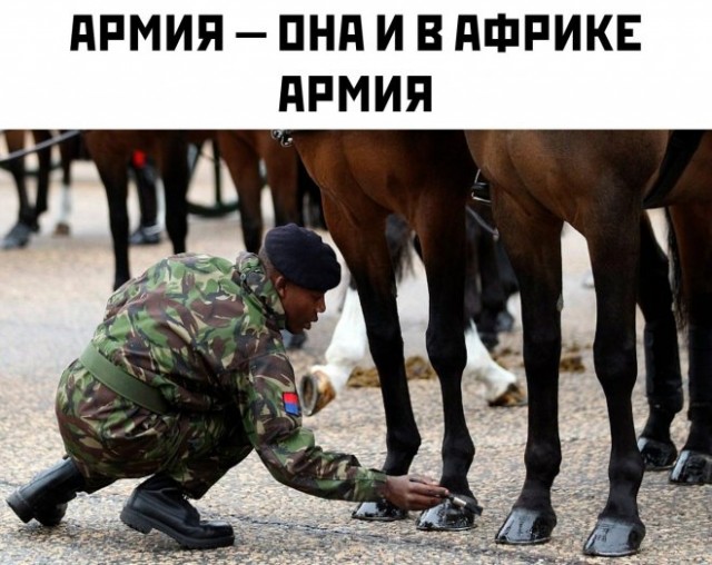 Картинки и мемы для настроения - 131
