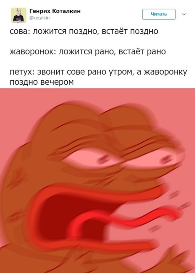 Подборка картинок 04.05.2023