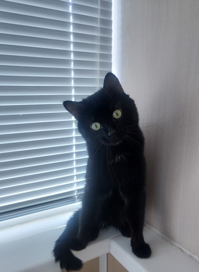 Я тёща. Проблемы с зятем. Дайте совет