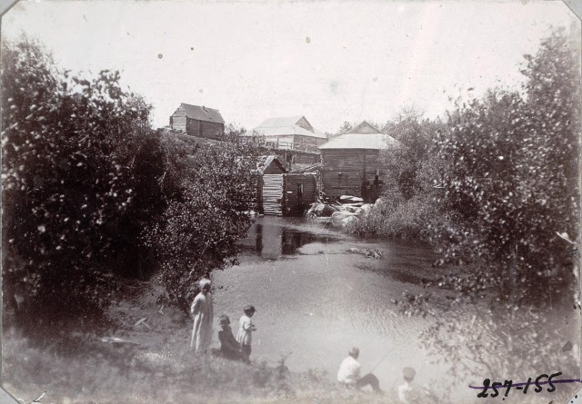 Сибирское казачье войско 1909г. Лица. Виды