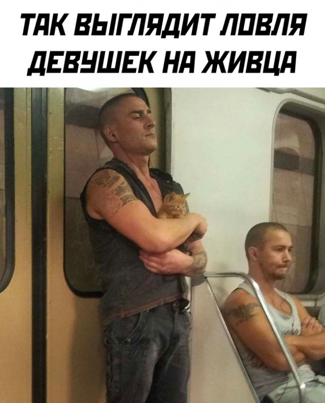 Весёлый полтишок 16.07.23