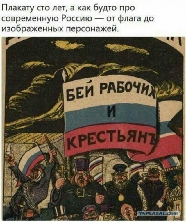 Мигранты избивают людей ради хайпа