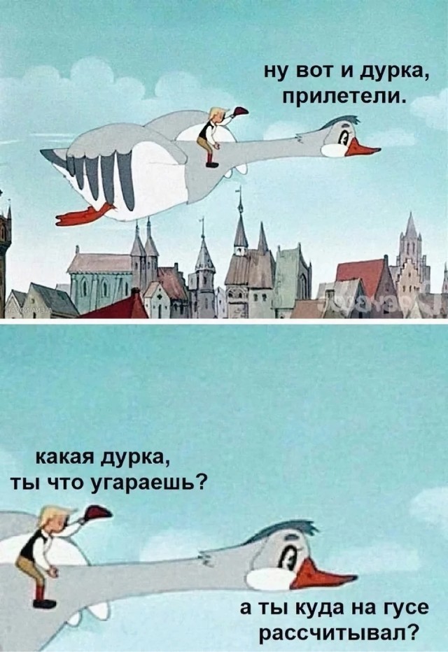 Весёлый полтишок 11.08.23