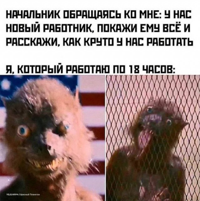 Всего понемногу. От 15.11.23