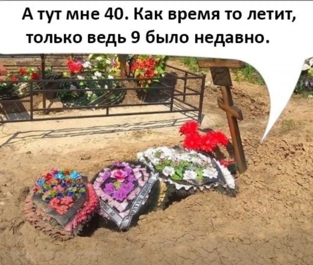 Отвал башки в конце января