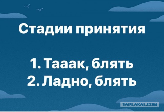 Юморные картинки айтишной (и не только) направленности, стиля "всёпропало"
