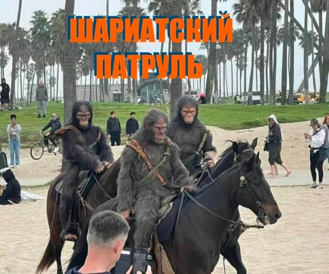 Так себе картинки 08.05.24