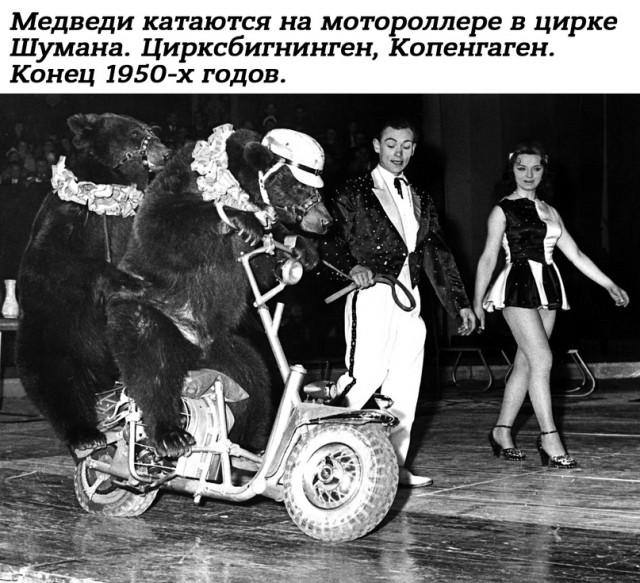 Небольшая подборка истрических фото (02.07)