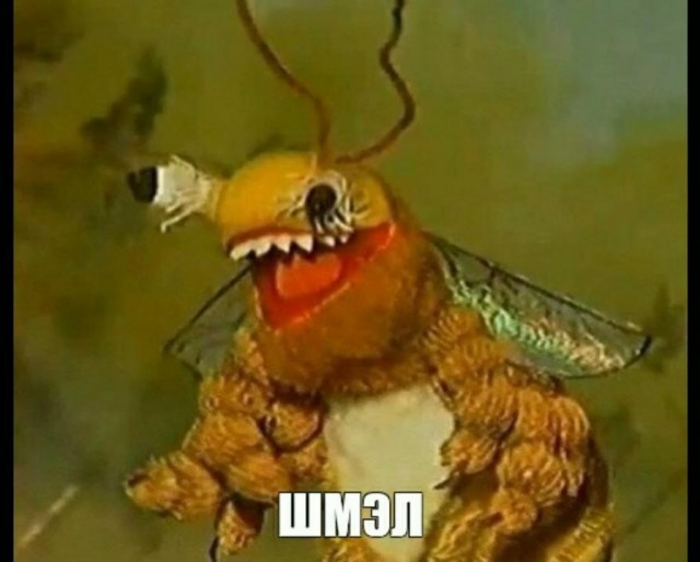 ЯП просветительный (Пчелы/Шмели/Осы/Шершни)