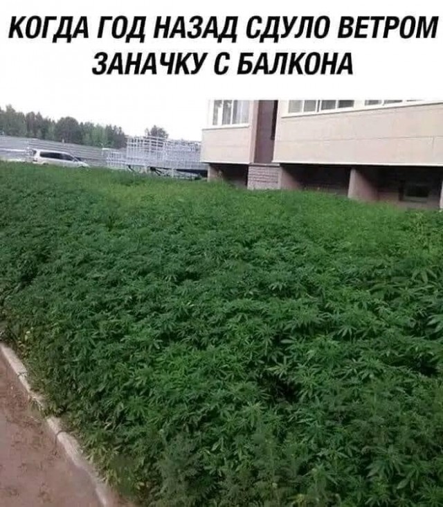 Нуштош 24.07.2024