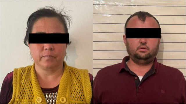 Две с половиной тонны замороженных собак