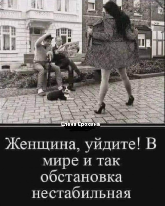 Весёлый полтишок 19.09.24
