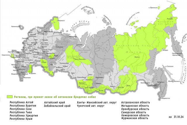 16 регионов России приняли закон об эвтаназии бродячих собак