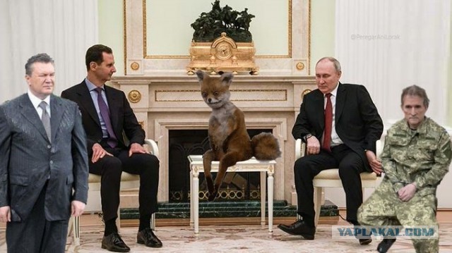 Алеппо всё (Сирия)