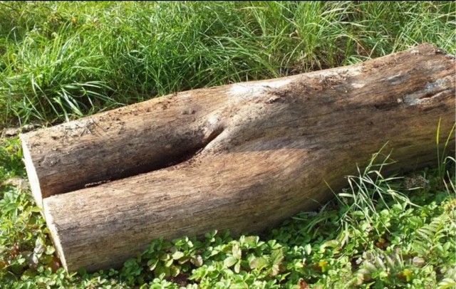 Жена не даёт сзади!