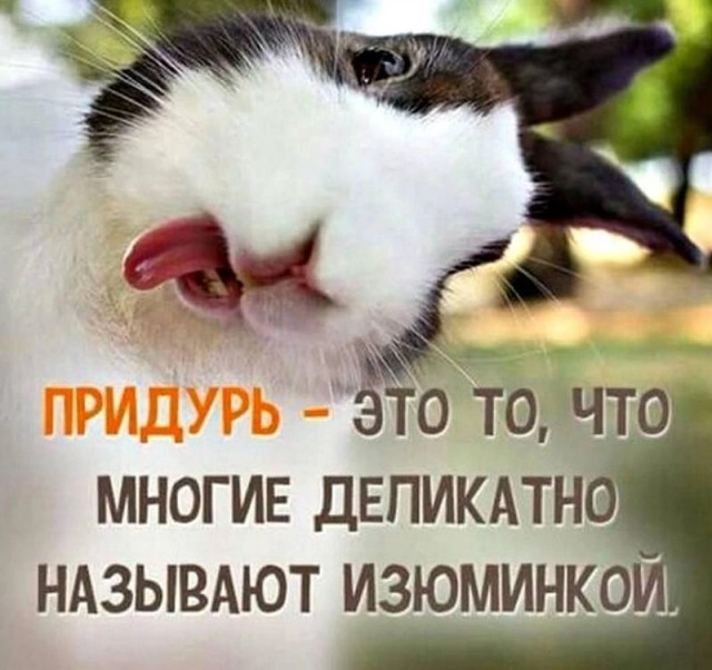 Картинки на вечер понедельника