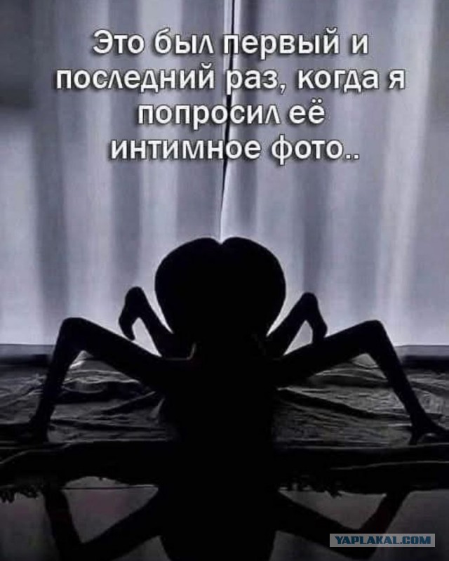 Ищу МУЖА!
