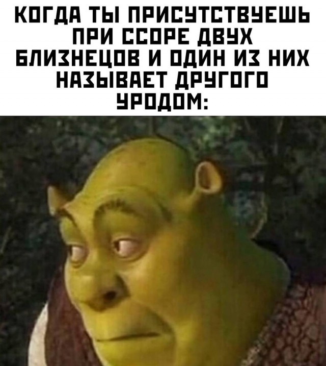 Весёлый полтишок 24.04.25
