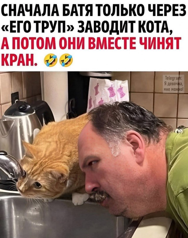 Так себе картинки 29.04.25