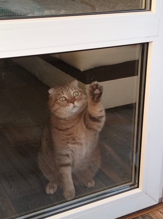 Привет пасаны.