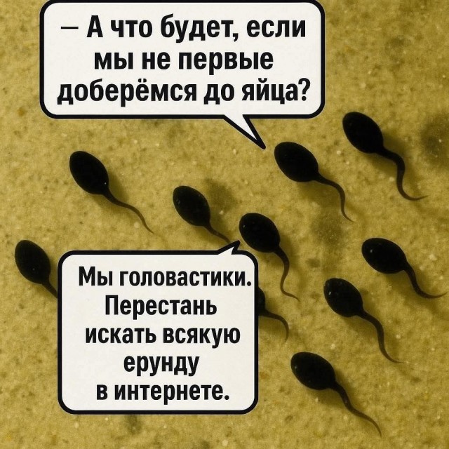 Так себе картинки 04.06.25