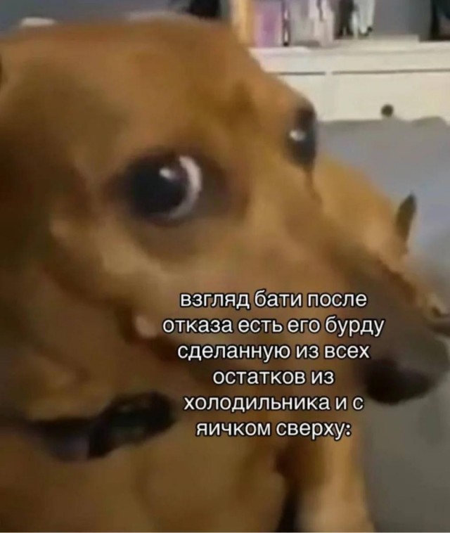 Юмор для тех, кто уже повзрослел и понял, что «готовка» — это разогреть вчерашний суп