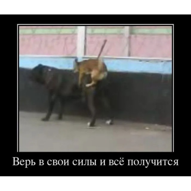 Ну что деграданты, начинаем эту неделю!
