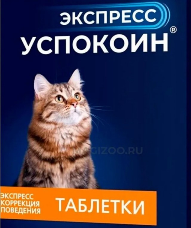 Вычесываем Британку