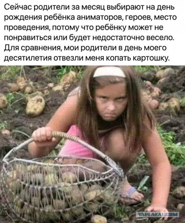 Картинки для деградации 86 (разной степени свежести)