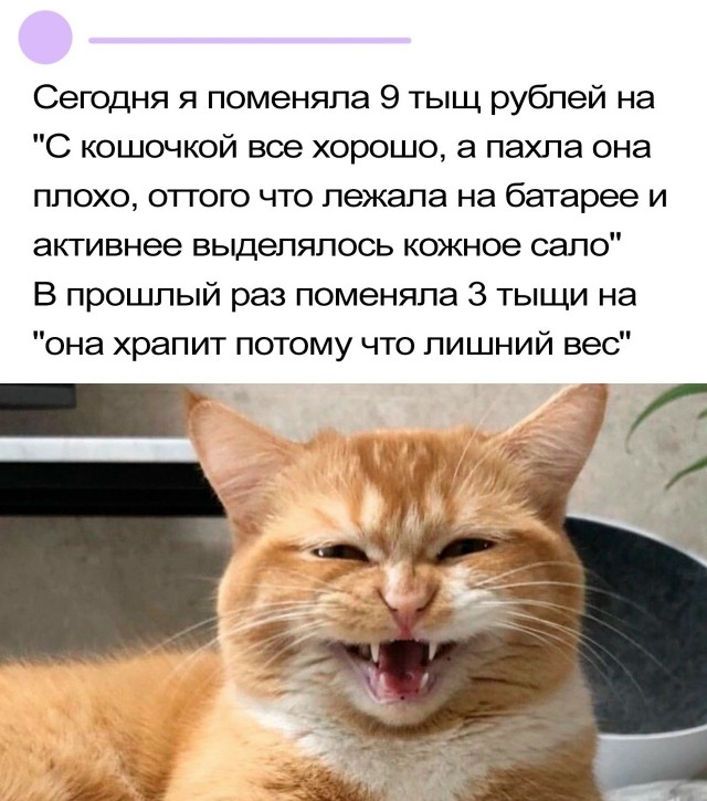 Так себе картинки 18.11.25