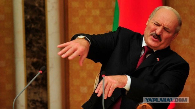 Александр Лукашенко подписал документ о присоединении Беларуси к "Совету мира" Дональда Трампа