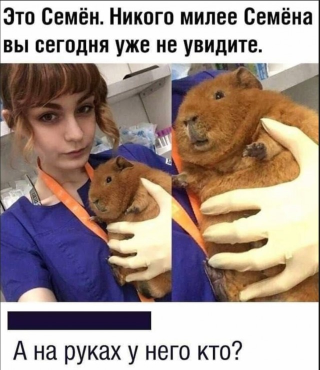 Картинки для деградации 149 (разной степени свежести)