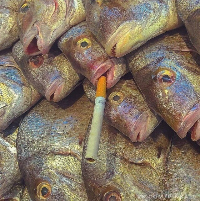 Вторника картинки