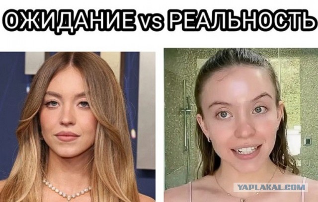 Сидни Суини — главный «кэтфиш» Голливуда или девушка, которая сломала систему? Разбираем феномен «рыбного аспекта» и её молчаливого превосходства ?