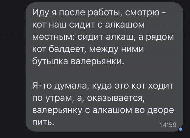 Так себе картинки 15.05.26
