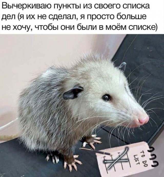 Веселые картинки в понедельник (06.07)