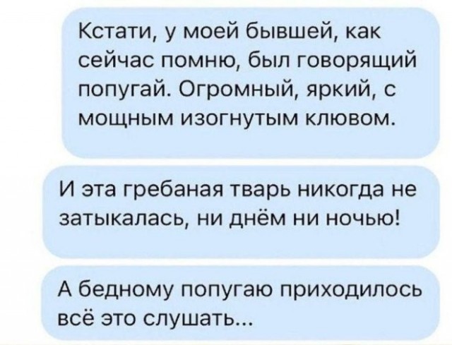 Веселые картинки в маленькую пятницу (29.07)