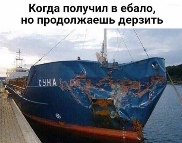 Картиночки, баянчики 01 августа