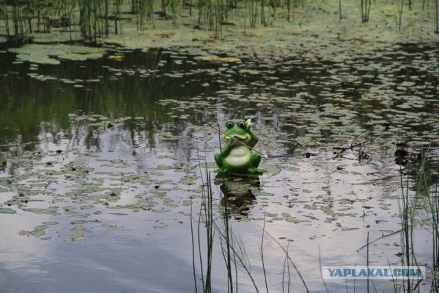 Фотоотчёт. Ивановская область.