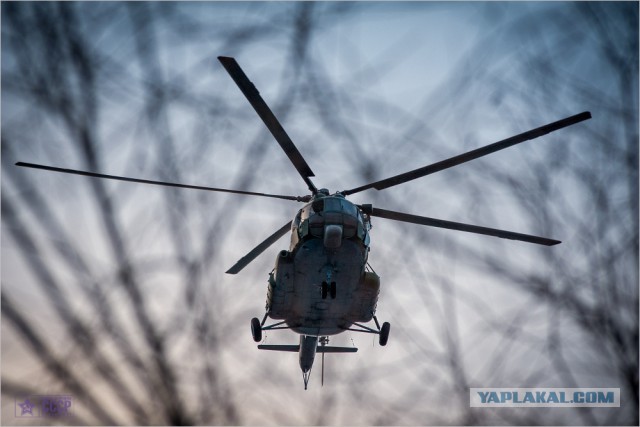 СОБР УМВД по Курганской области